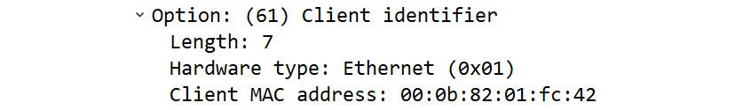 Figure 14.9 – DHCP Option 61
