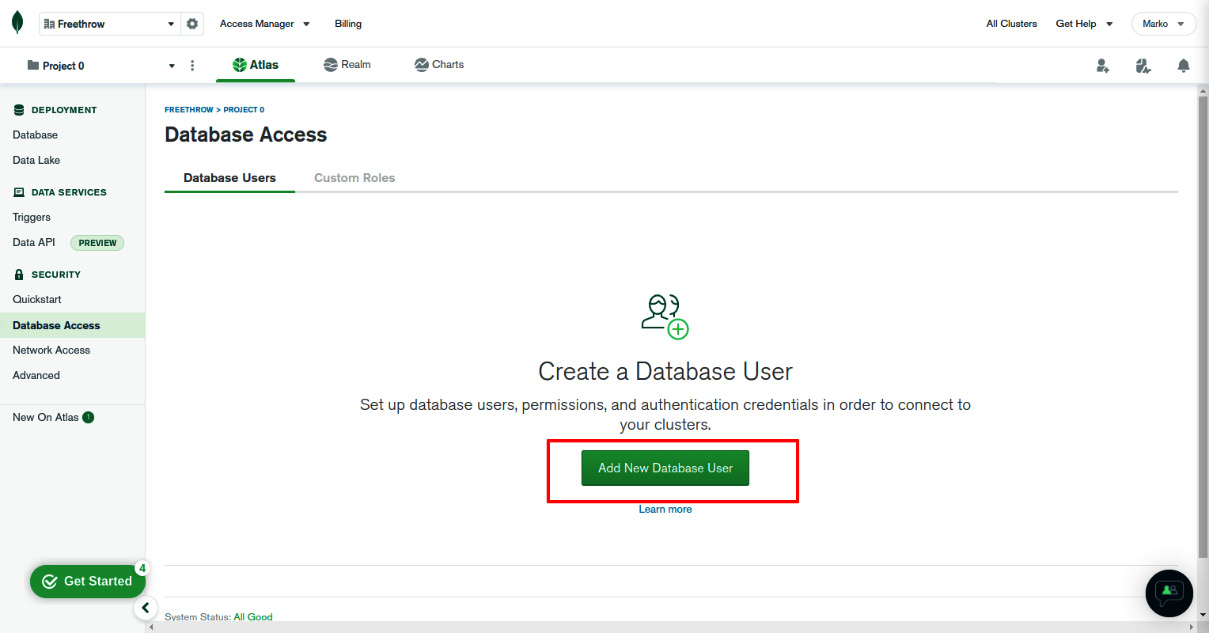 Figure 2.10 – The Database Access screen 
