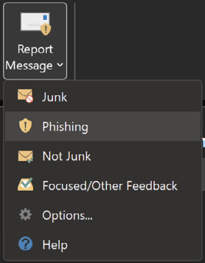 Figure 8.16 – Report message add-on 
