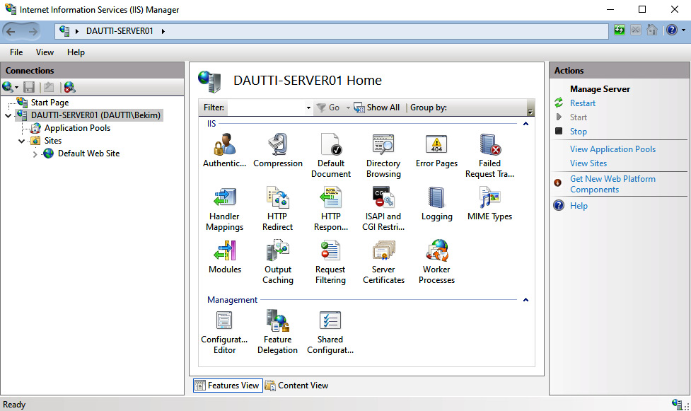 Figure 6.4 – IIS Manager in Windows Server 2022
