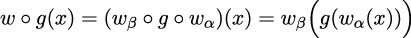  ( ) w ∘g(x) = (wβ ∘g ∘w α)(x) = w β g(w α(x )) 