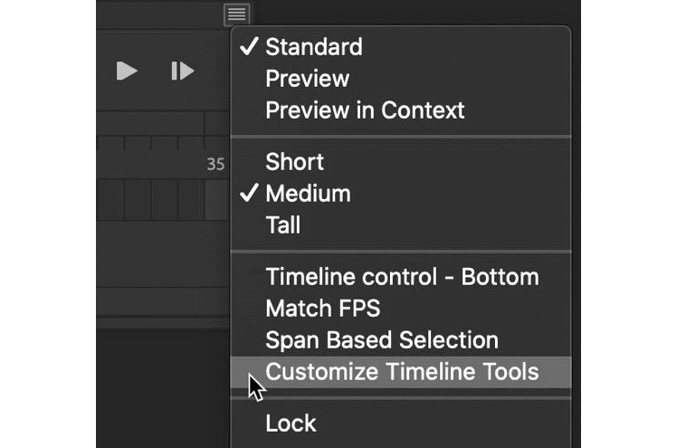 Figure 3.22 – The Customize Timeline Tools option
