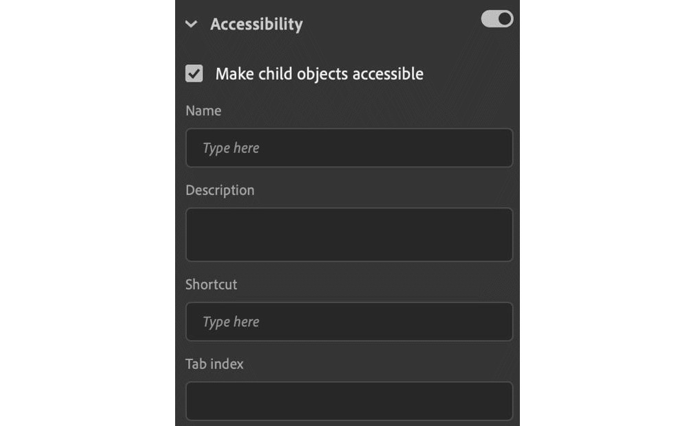 Figure 5.32 – Accessibility options for ActionScript 3.0 documents
