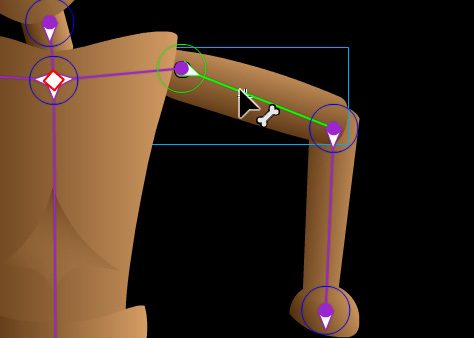 Figure 8.12 – Bone selection
