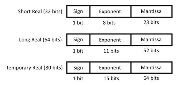 Figure 9.3: 8087 coprocessor floating-point data formats