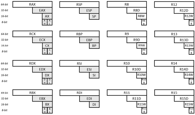 Figure 10.3: x64 registers
