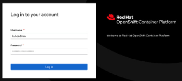 Figure 5.5 – Accessing the Console UI
