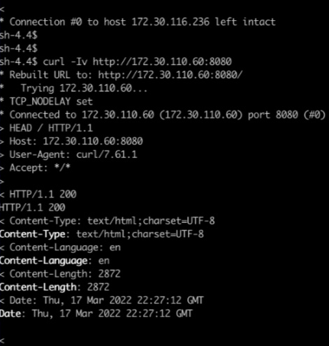 Figure 7.13 – Testing labeled namespace. Connection to a namespace that contains the proper label – connection allowed
