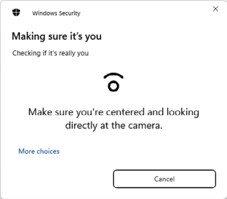 Figure 8.4 – The Windows Hello popup with a custom message
