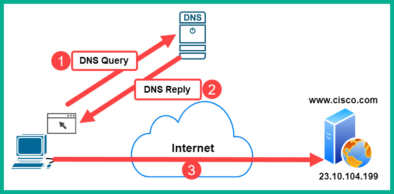 Figure 15.11 – DNS query
