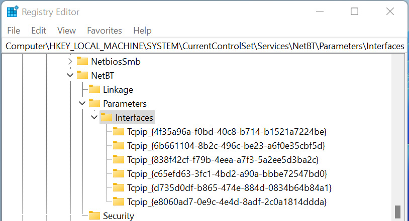 Figure 10.5 – The TCPIP_GUID values of network adapters 
