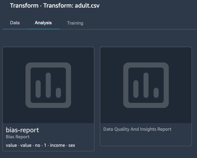 Figure 10.16 – Bias report and data quality and insights report steps in a SageMaker Data Wrangler flow