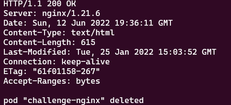 Figure 7.38 – Returning the DNS name for nginx-svc by looking up the IP address
