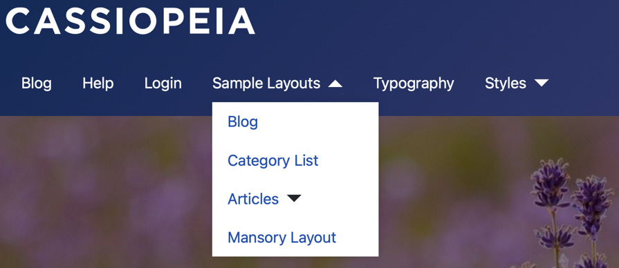 Figure 5.1 – A sample top menu in Joomla