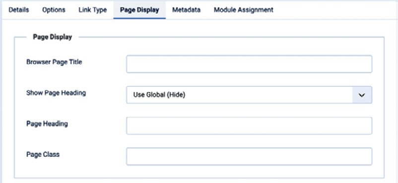 Figure 5.12 – Menu item options: Page Display