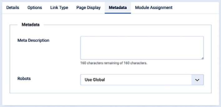 Figure 5.14 – Menu item options: Metadata