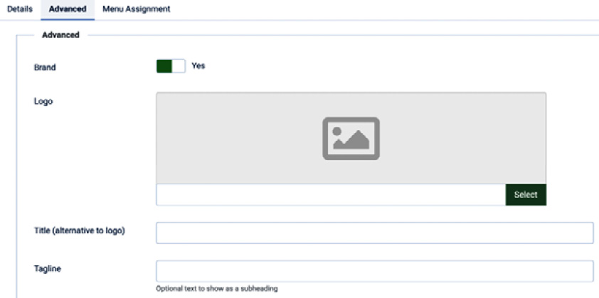 Figure 12.9 – Details of the Brand options of the Cassiopeia template