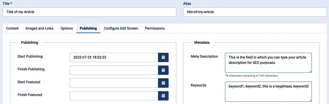 Figure 7.1 – SEO options for articles