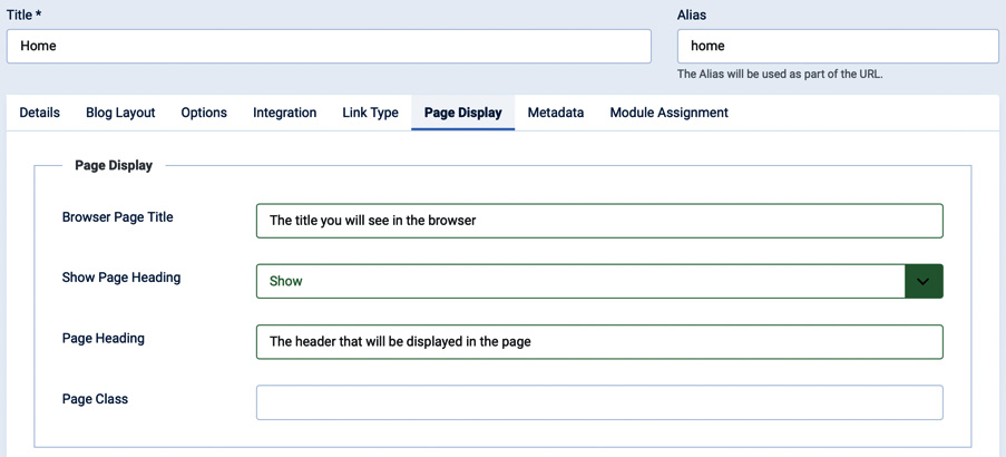 Figure 7.3 – Menu item | Page Display