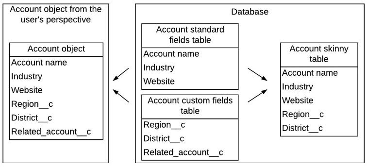 Salesforce stores its standard and custom objects using two separate tables and joins them on the fly whenever a user queries that object. The figure shows a table mentioning the Account from the user's perspective and a database containing the Account skinny table.