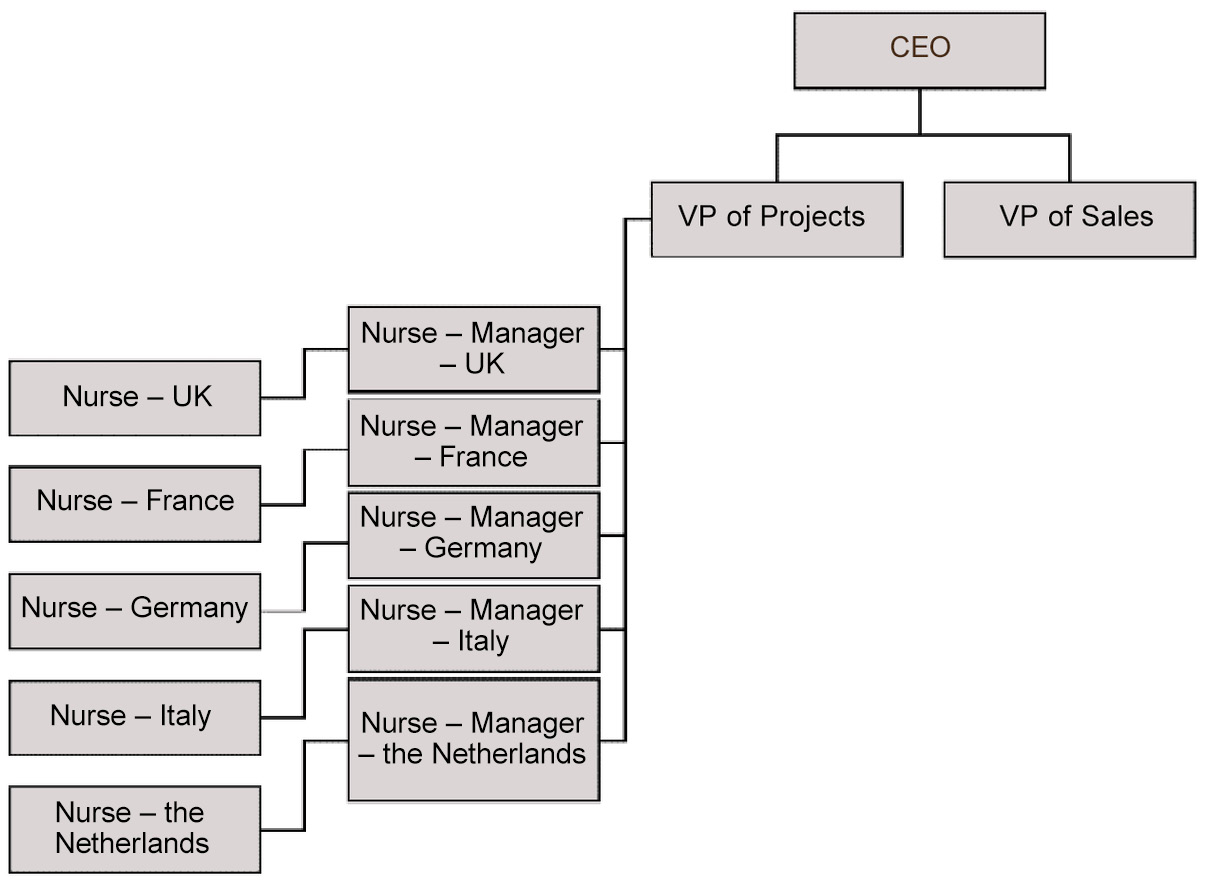 This is the first draft of the role hierarchy diagram. It is a flowchart that lists the CEO on the top, which has 2 subdivisions: VP of Projects and VP of Sales. VP of Projects has multiple divisions and sub-divisions.