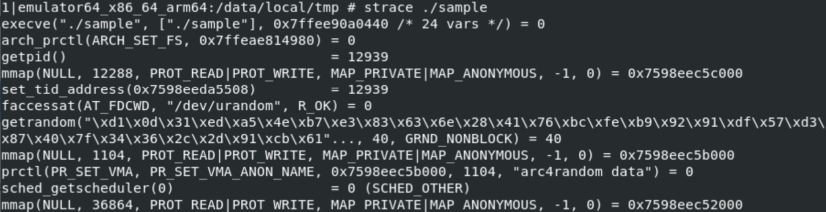 Figure 13.18 – Using strace for behavioral analysis on the Android Emulator
