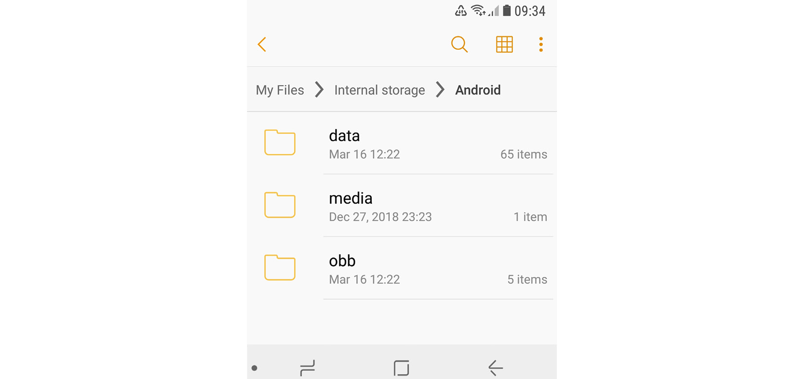 Figure 13.1 – The file manager referring to external storage as internal
