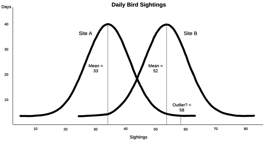 Figure 2.1 – Daily Bird Sightings
