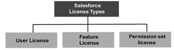 Figure 5.2 – Salesforce license model
