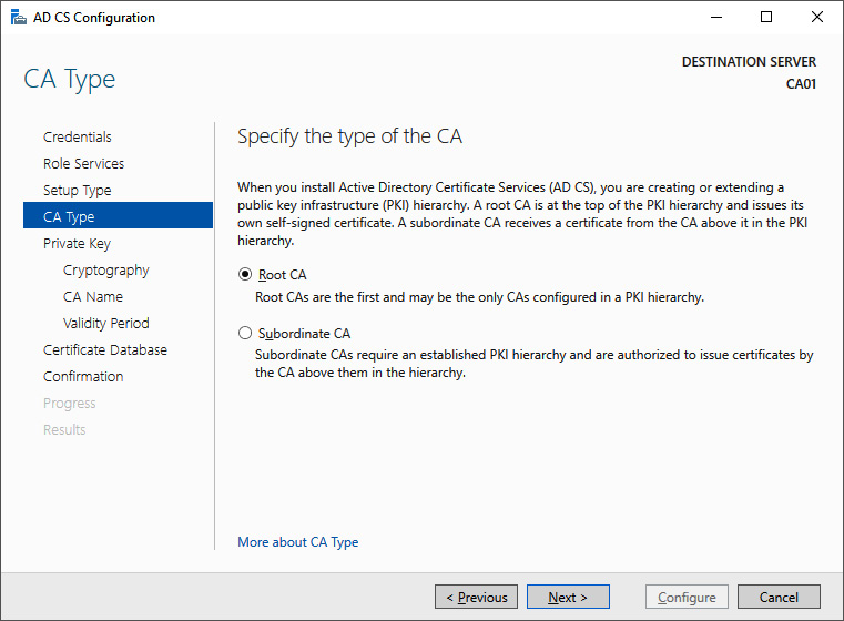 Figure 12.4 – Specifying the type of CA
