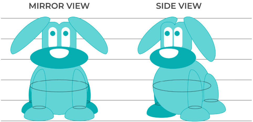 Figure 2.15 – Mirror view versus side view
