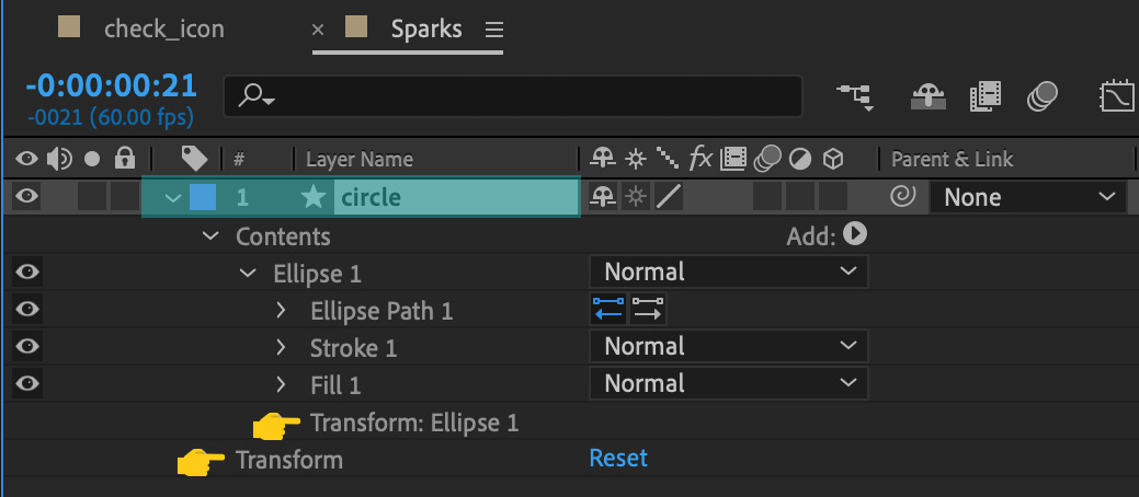 Figure 4.35 – Circle layer Transform options
