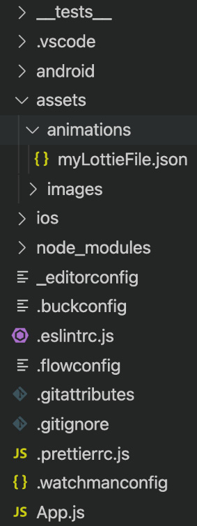 Figure 9.1 – Storing animation in the app folder structure
