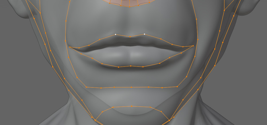 Figure 5.20 – Close-up of the mouth