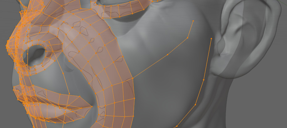 Figure 5.24 – Close-up of the cheek with guiding vertices