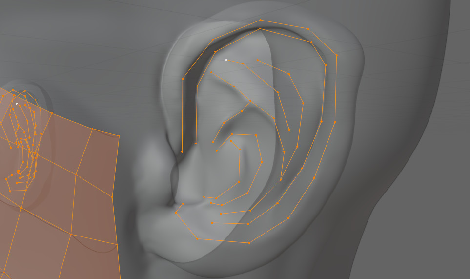 Figure 5.49 – Peaks and valleys defined with vertices on the ear