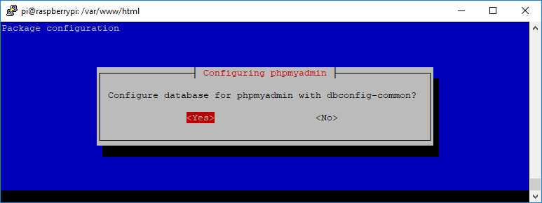 Figure 8.31 — phpMyAdmin configuration window
