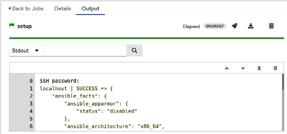 Figure 8.5 – Job output for the ad hoc setup command
