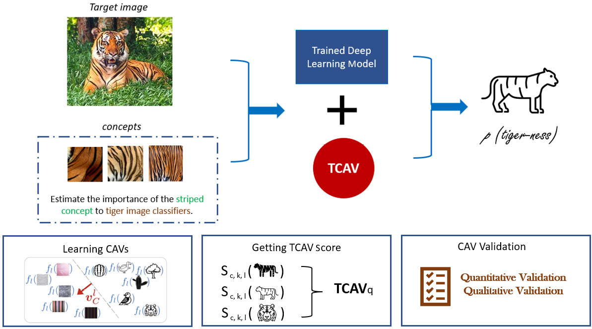 Figure 8.2 – Using TCAV to estimate the concept importance of stripes in a tiger image classifier
