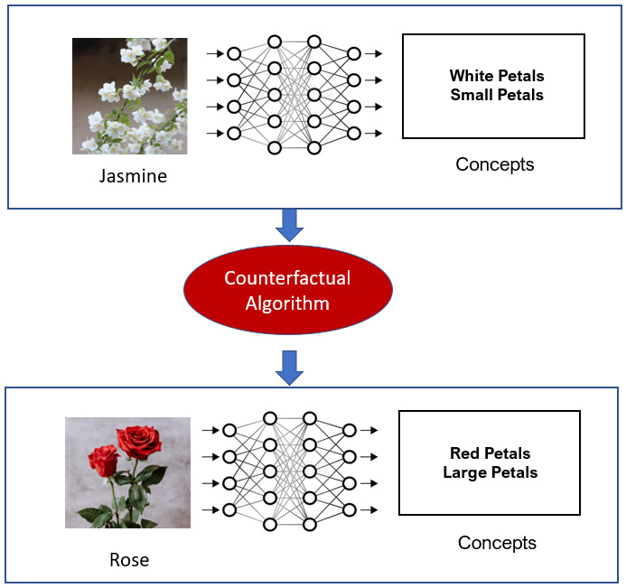 Figure 8.5 – An illustration of the idea of concept-based counterfactual examples
