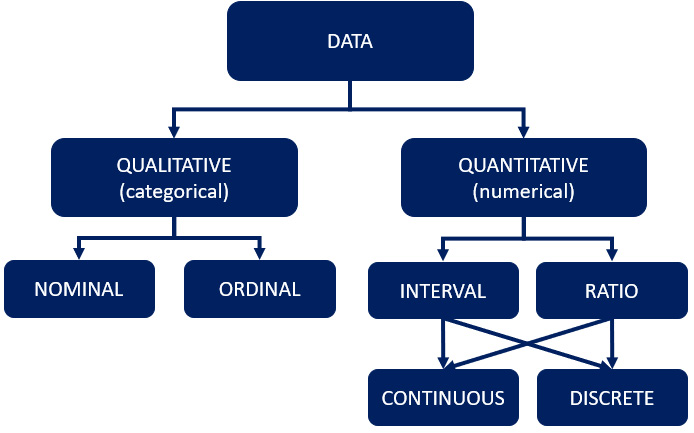 Figure 2.9 – The different forms of data types