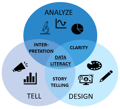 Figure 3.1 – Defining data literacy skills