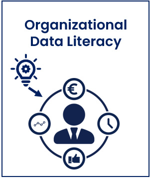 Figure 3.3 – The first pillar: organizational data literacy