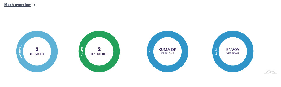 Figure A.8 – Mesh overview in the Kuma GUI