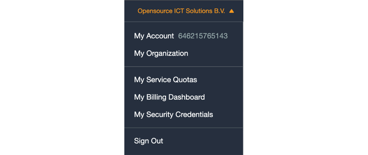 Figure 12.3 – AWS web frontend user profile
