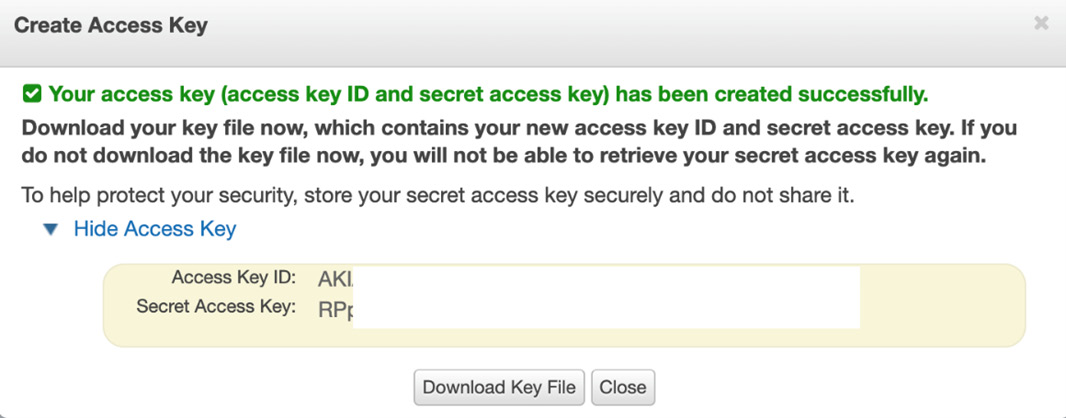 Figure 12.5 – AWS access key details
