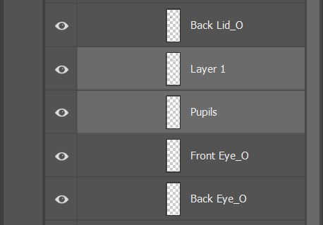 Figure 3.21: Layer 1 contains the newly pasted pupil