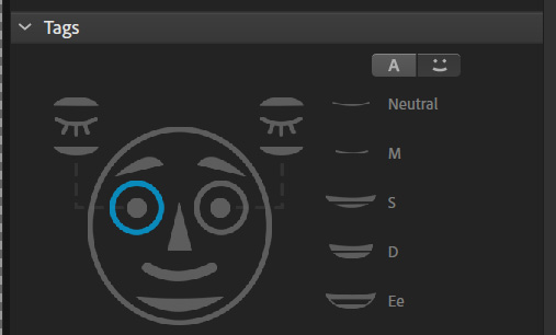 Figure 4.24: Clicking the eye outlines to tag each eye