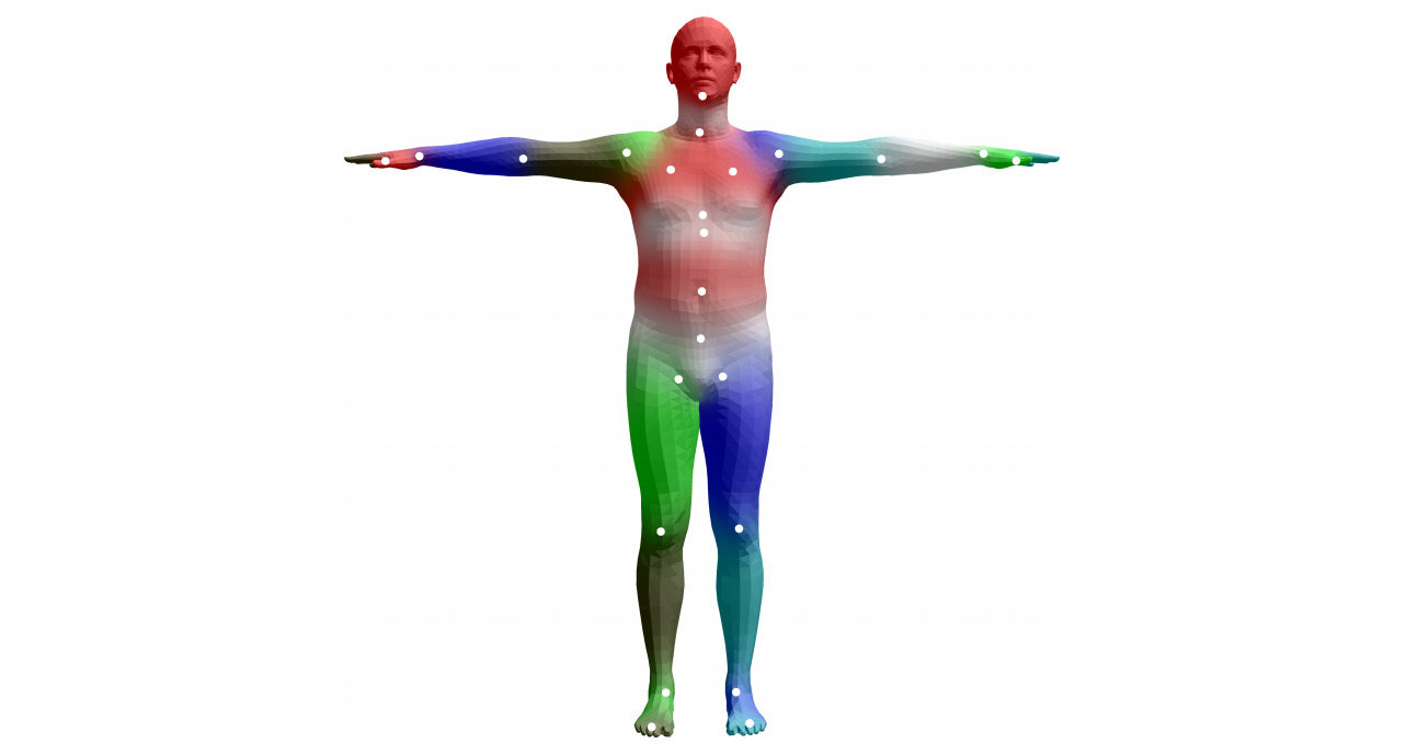 Figure 8.1 – The SMPL model template mesh in the resting pose
