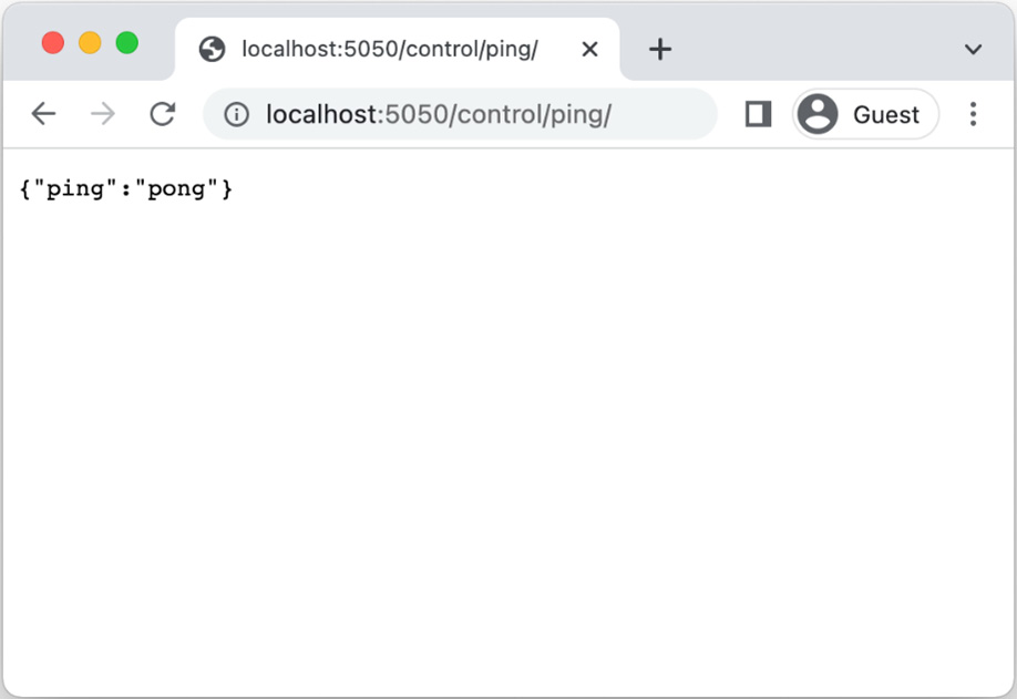 Figure 2.2: The control ping route when visited in the browser
